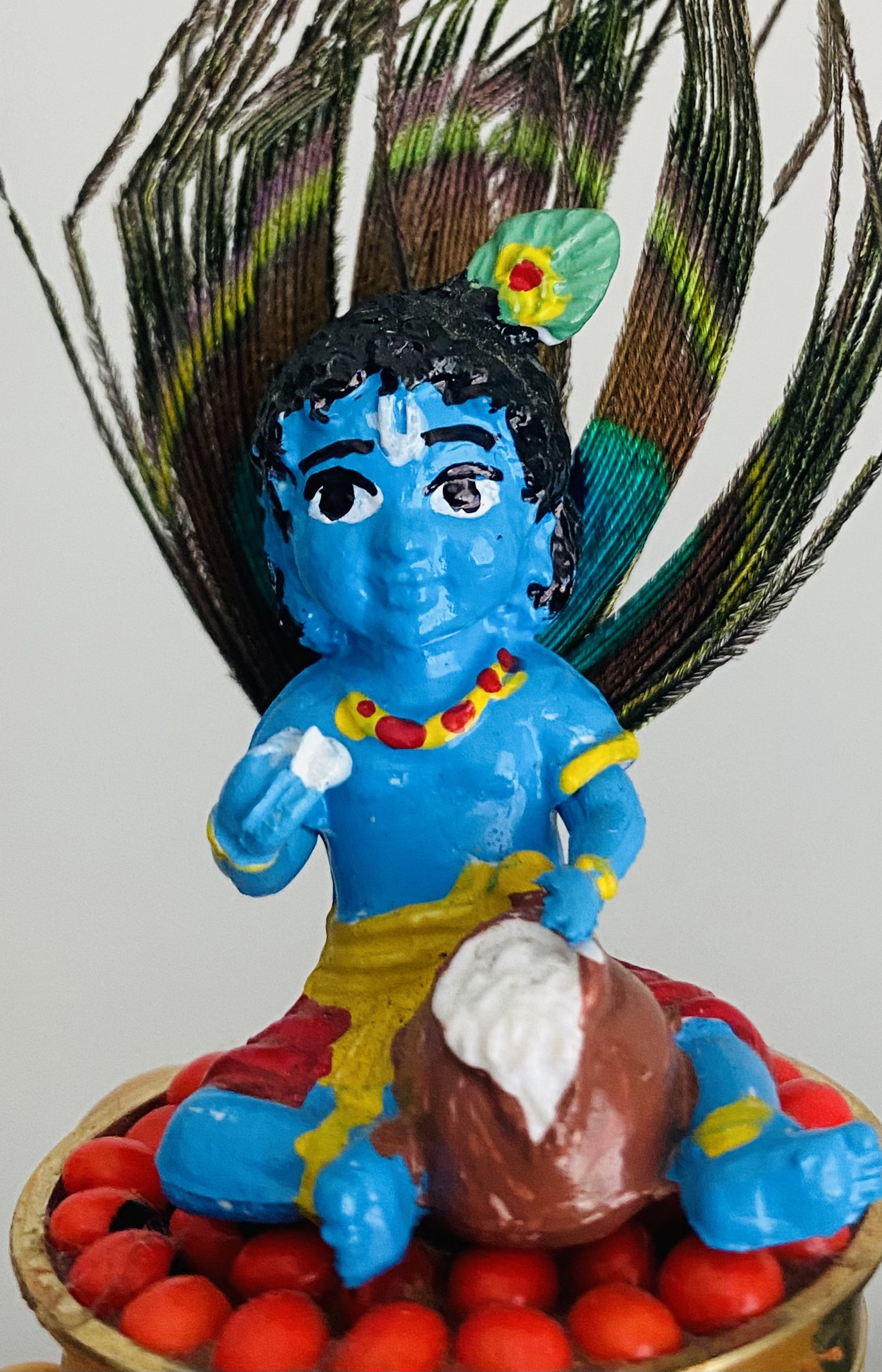 Happy Sri Jayanthi 2026!