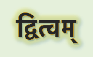 Grammar Diaries – जुहोत्यादिगणस्य&nbsp;द्वित्वम्