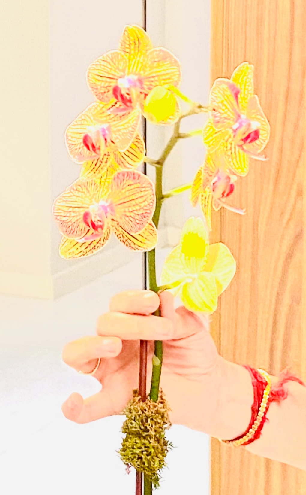 Manmatha’s Prowess – A Joyful Discovery of&nbsp;Padyams