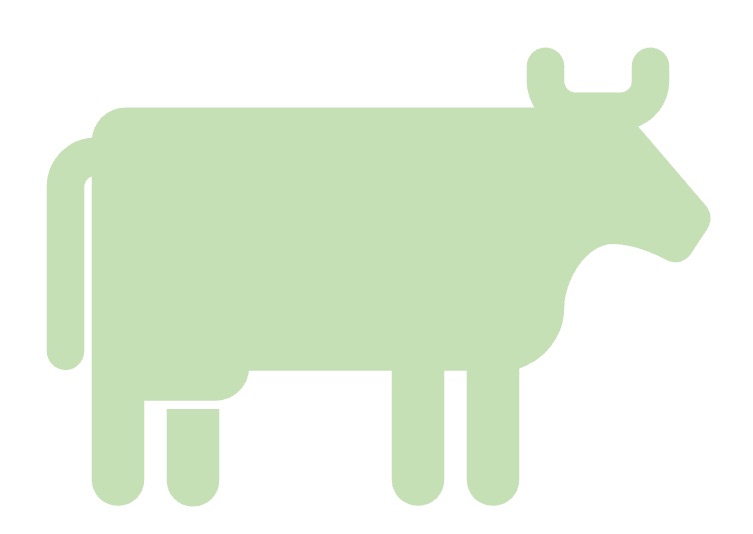 Superstition and Wisdom!