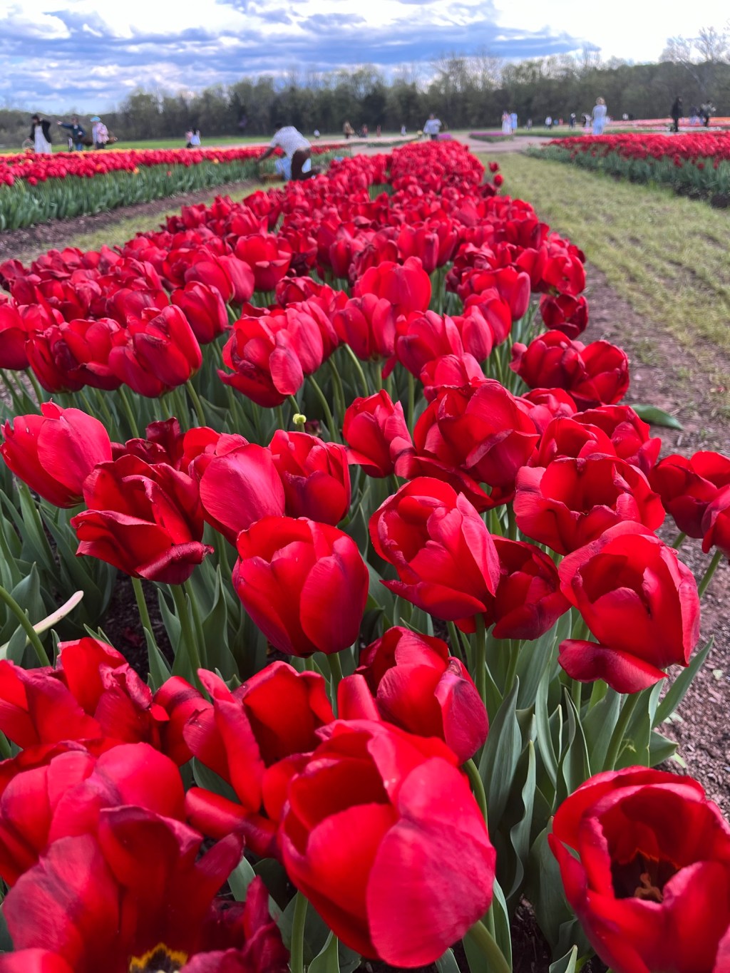 Desire, Wisdom and&nbsp;Fulfillment!