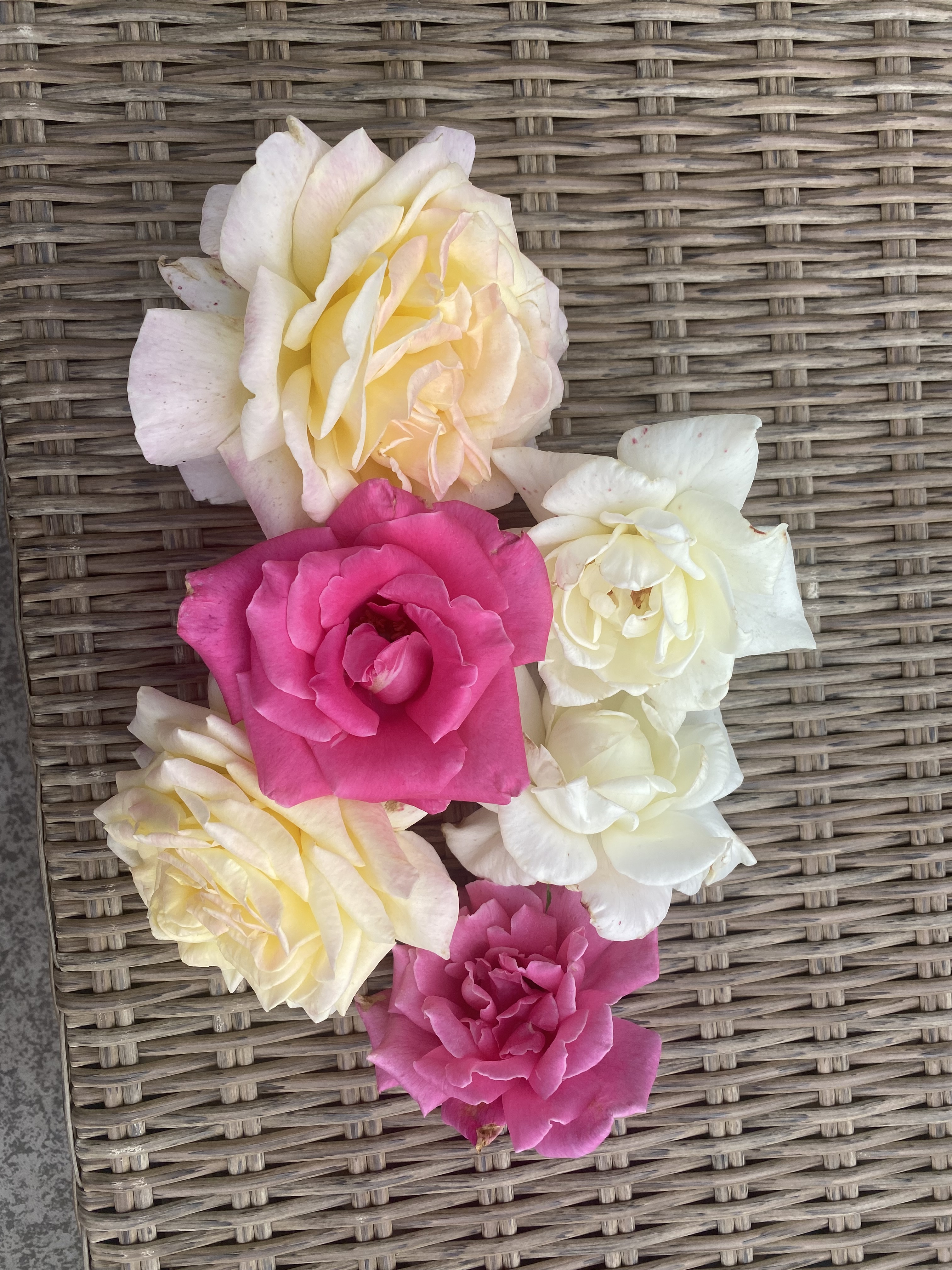 My Friday Blossom&nbsp;Experience!